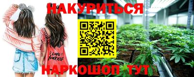 шишки Жуковский