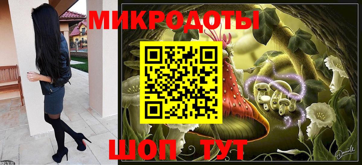 Галлюциногенные грибы Psilocybine cubensis Магадан