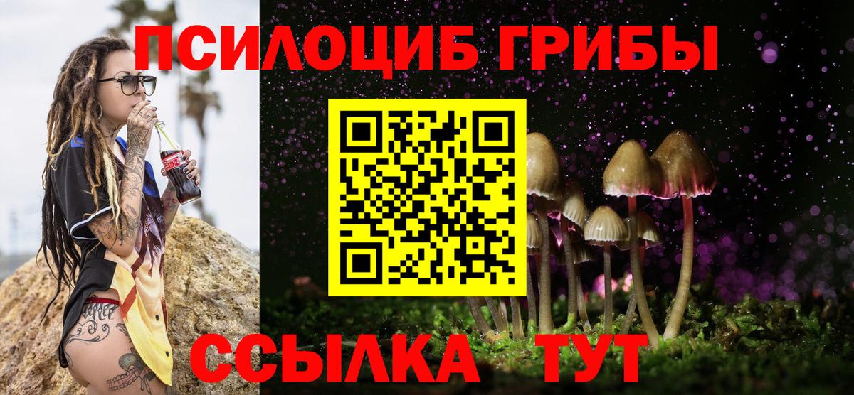 Галлюциногенные грибы Psilocybine cubensis  Галлюциногенные грибы Psilocybine cubensis  Магадан  Вход с VPN 